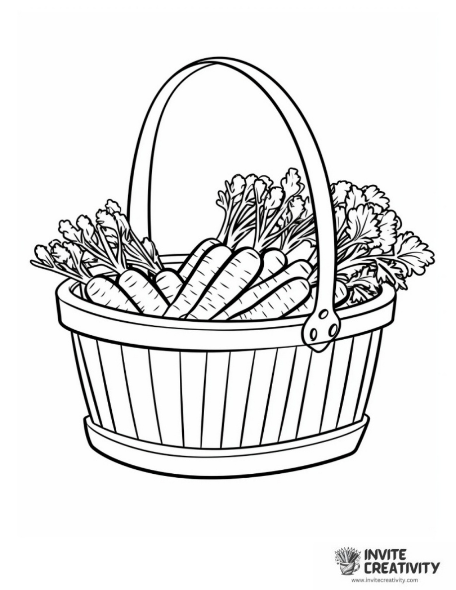Basket of Carrots