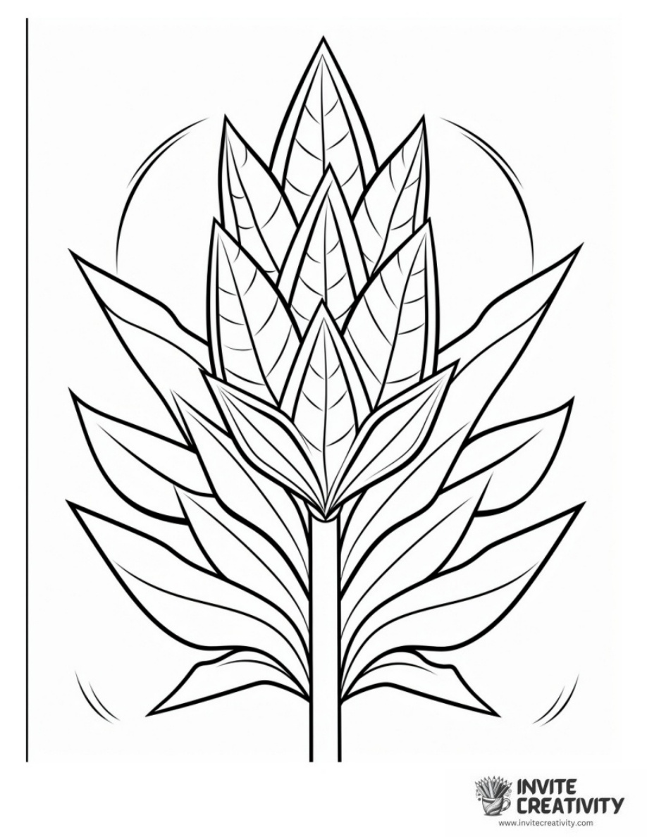 Corn Simple Zentagle