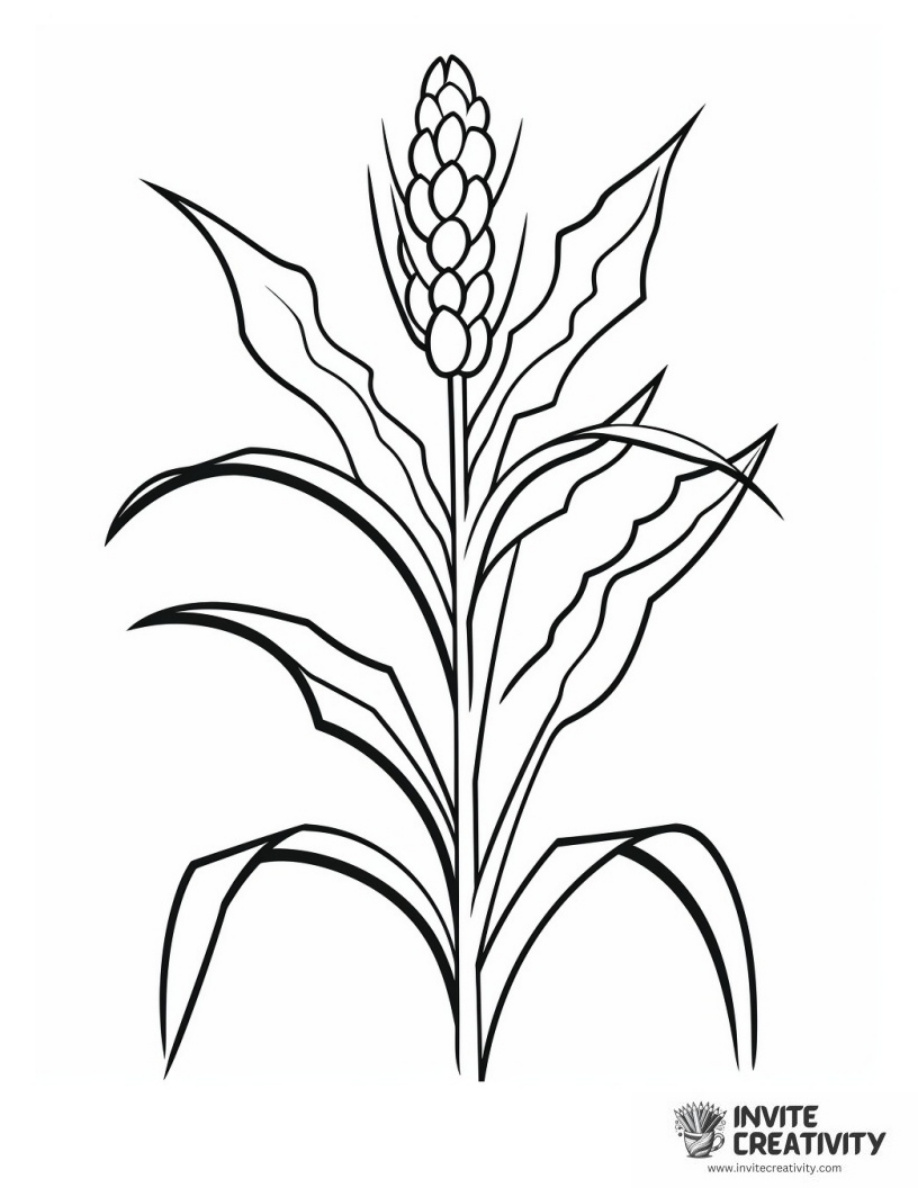 Corn Stalk Simple