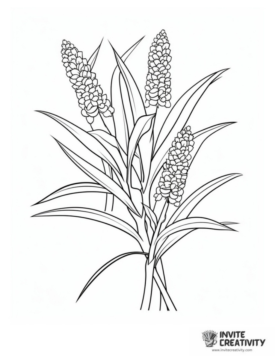 Corn Vegetable Realistic