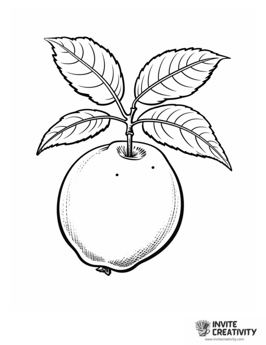 Pear