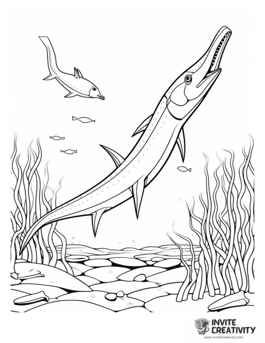 Plesiosaurus