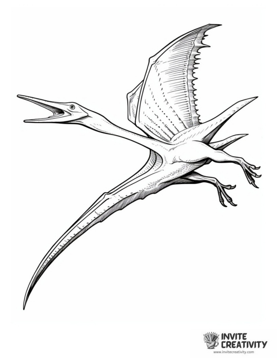 Pteranodon