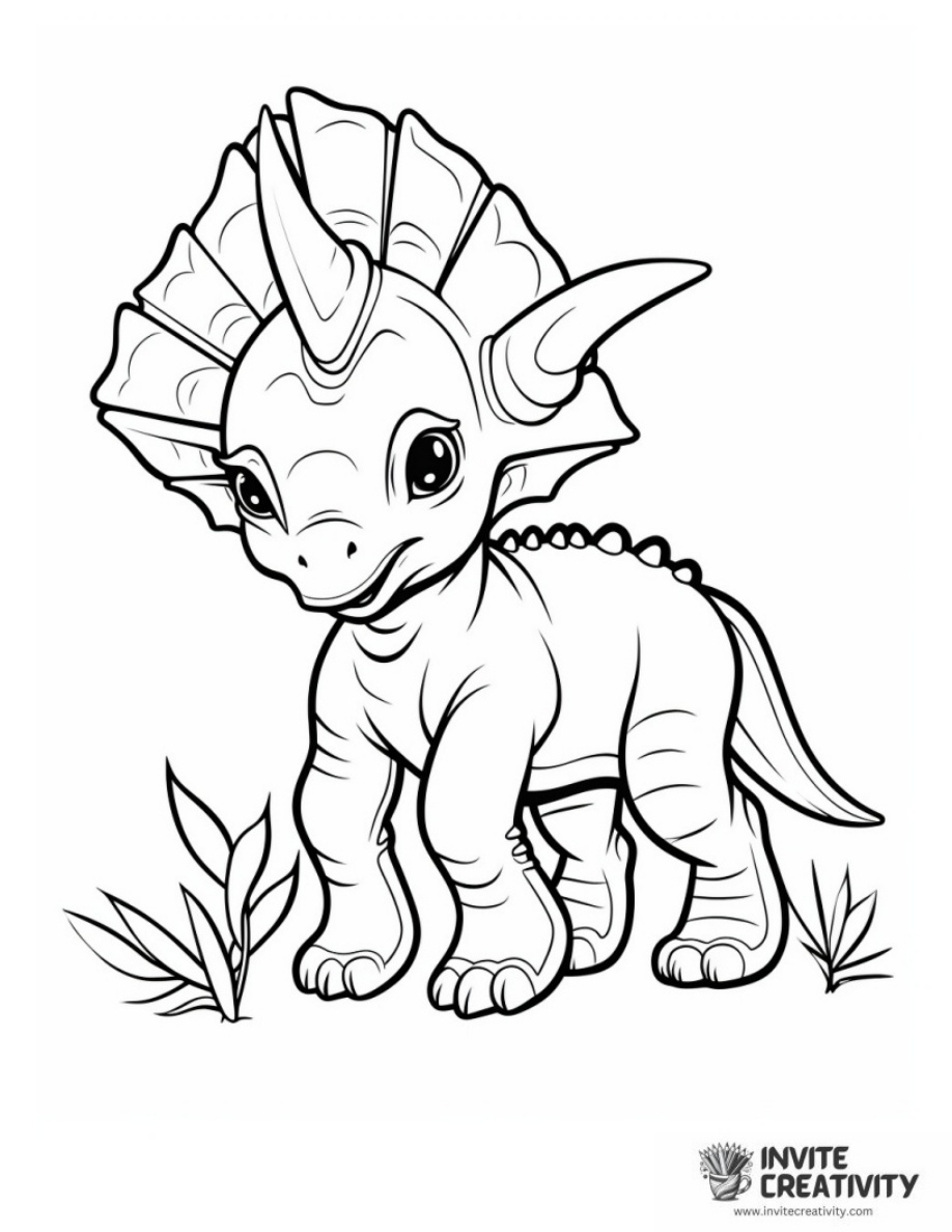 Small Baby Triceratops